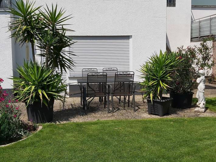 Ferienwohnung für 3 Personen, mit Balkon und Garten, kinderfreundlich in Neustadt an der Weinstraße - 2