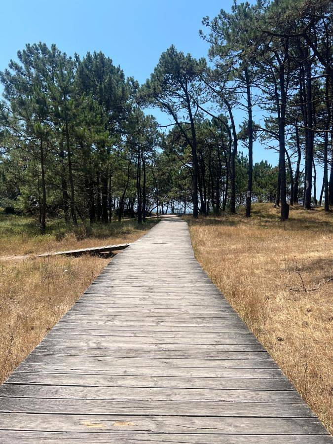 Location de vacances pour 4 personnes, avec jardin et jacuzzi à Tomiño - 3