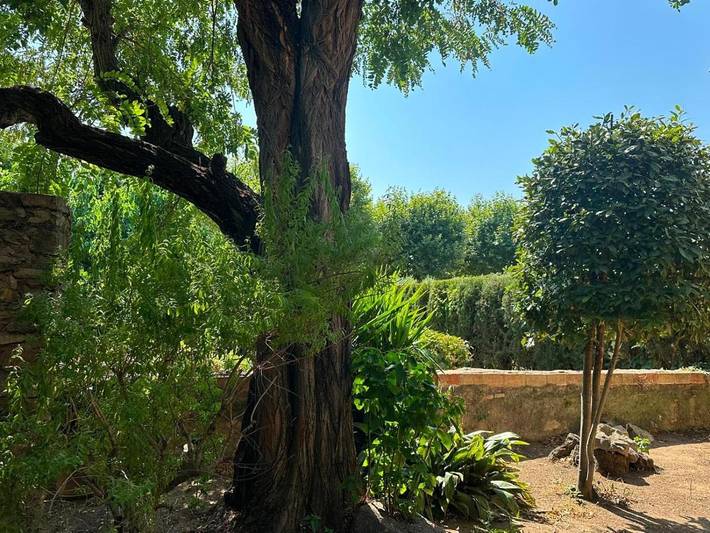 Gîte pour 2 personnes, avec Balcon et Terrasse ainsi que Jardin et Vue dans Peratallada - 4