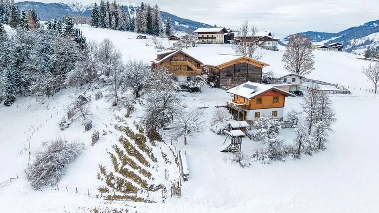 Ganze Ferienwohnung, Ferienwohnung für 10 Personen (90 m²) in Flachau in Flachau, Ski Amadé