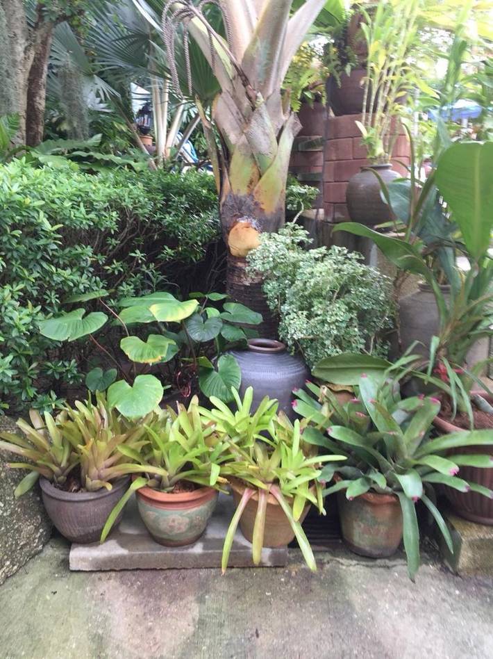 Station pour 2 personnes, avec piscine ainsi que jardin et bassin pour enfant à Karon Beach - 4