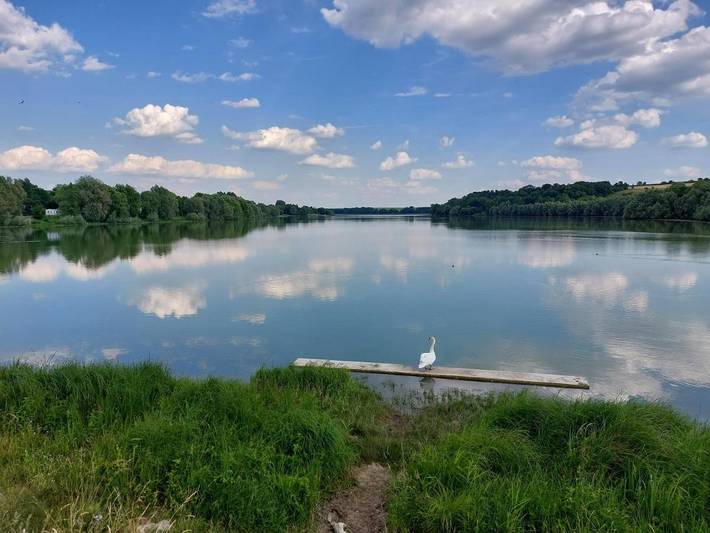 Chambre d’hôte pour 2 personnes, avec jardin ainsi que vue et vue sur le lac dans les Ardennes - 3