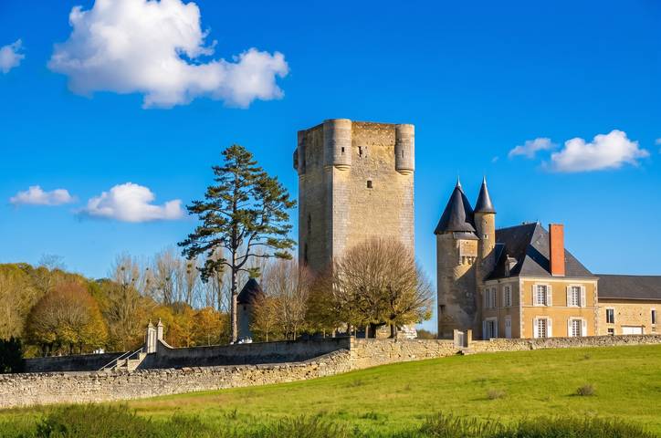 Château pour 10 personnes, avec Terrasse et Jardin en France