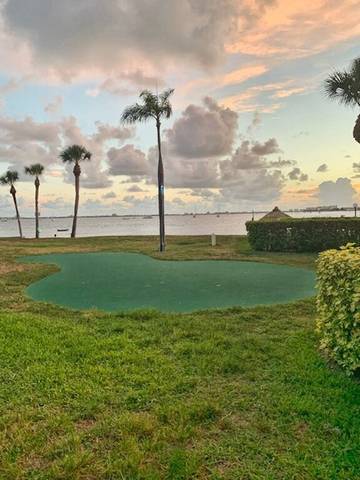 Apartment for 5 Guests in St. Petersburg (FL), Pinellas County, Picture 4