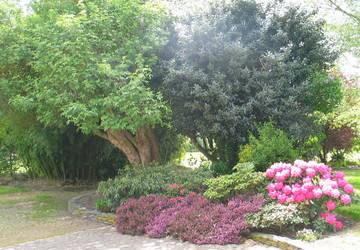 Cottage pour 2 personnes, avec jardin dans Loire-Authion