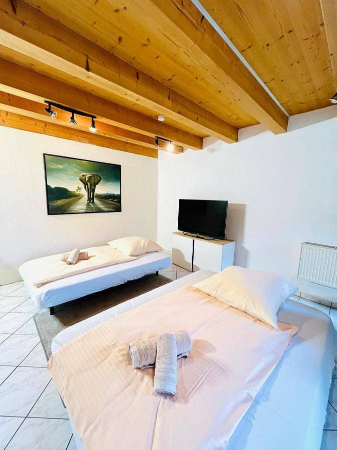 Gîte pour 6 personnes, avec terrasse et jardin à Geisingen - 4