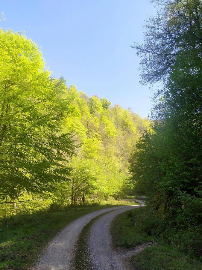 Casa rural para 7 personas, con vistas además de jardín y balcón en Valle de Cabuérniga - 2