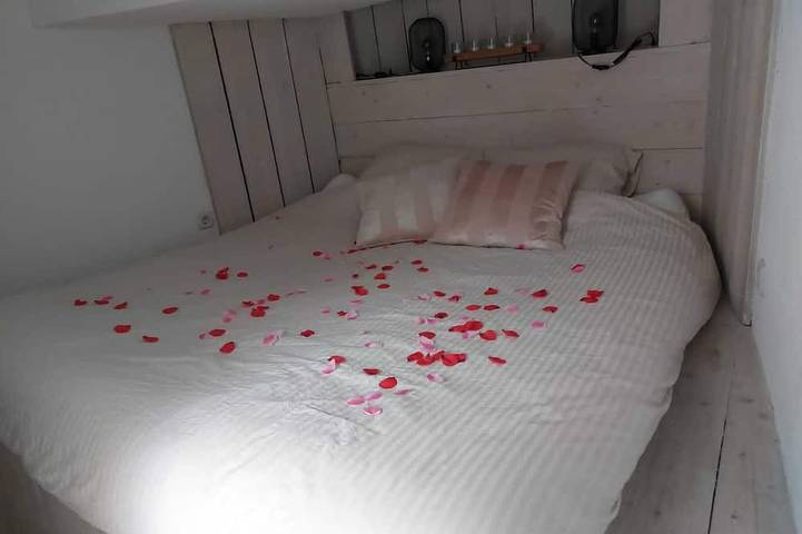 Péniche pour 2 personnes, avec terrasse à Heerenveen - 2