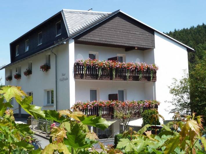BnB für 2 Personen, mit Balkon und Terrasse sowie Garten und Ausblick in Willingen
