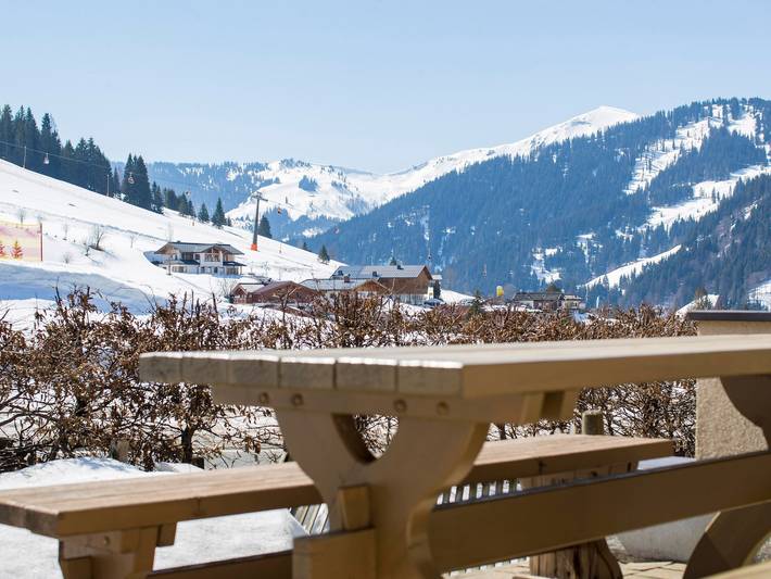 Ferienwohnung für 6 Personen, mit Terrasse und Sauna sowie Garten in Dienten am Hochkönig - 2