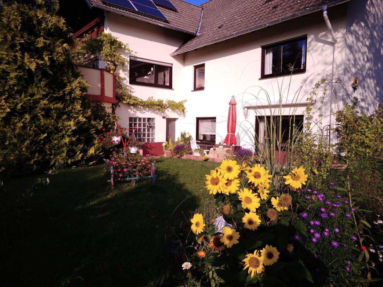 Ganze Wohnung, Fewo Sonnenblume in Daun, Vulkaneifel