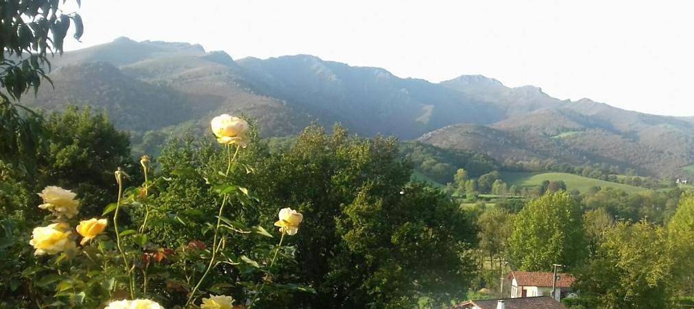 Gîte pour 6 personnes, avec vue et jardin à Ossès - 2