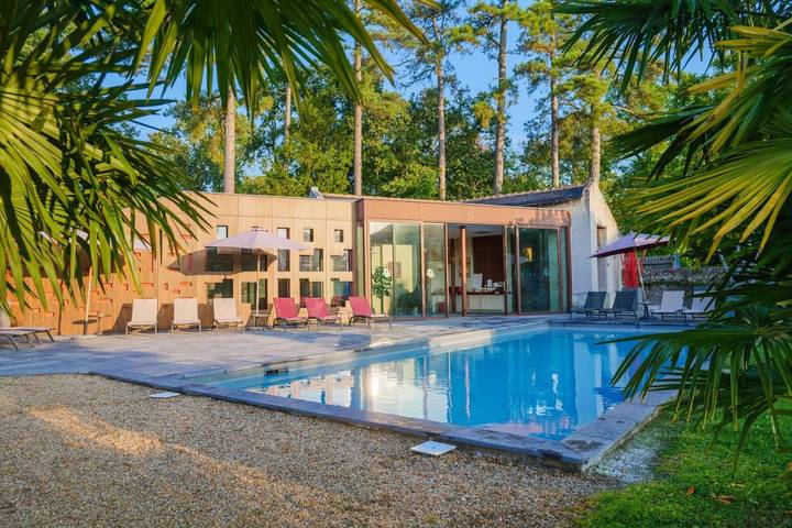 Chambre d’hôte pour 2 personnes, avec jacuzzi et sauna ainsi que jardin et piscine à Candes-Saint-Martin - 3