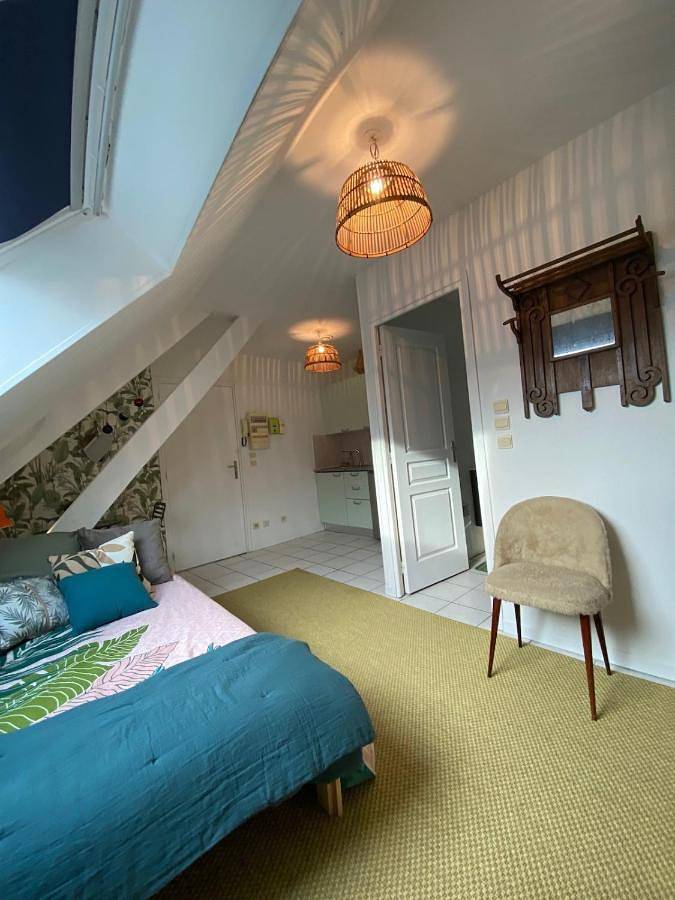 Appartement entier, One-Bedroom Apartment in Vierzon, Région de Vierzon