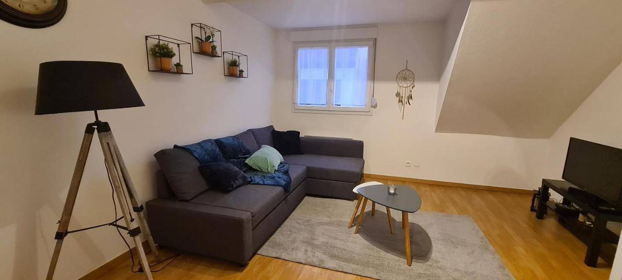 Ganze Wohnung, Two-Bedroom Apartment in Obernai, Region Sélestat-Erstein