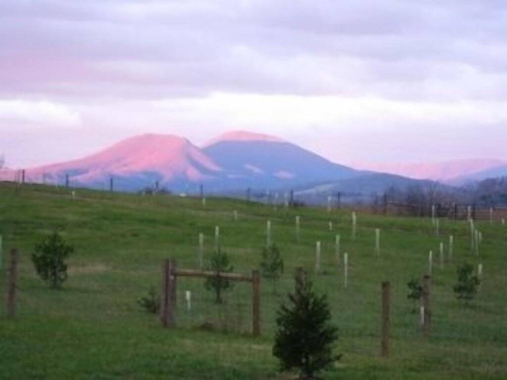 Windymile Cabin zu vermieten in der Nähe von Lexington Va. Lexington Va Hüttenvermietung. in Rockbridge County