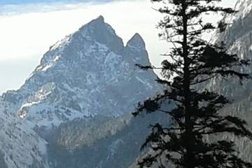 Gîte pour 8 personnes, avec balcon, animaux acceptés à Laruns