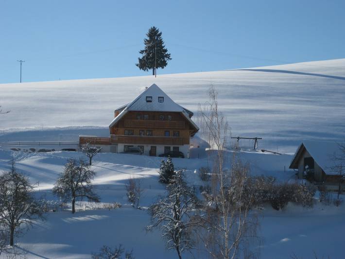 Ganze Wohnung, Ferienwohnung 'Sonnenblick, 54qm' mit gemeinsamer Terrasse, gemeinsamem Garten und Wi-Fi in Schonach im Schwarzwald, Südschwarzwald