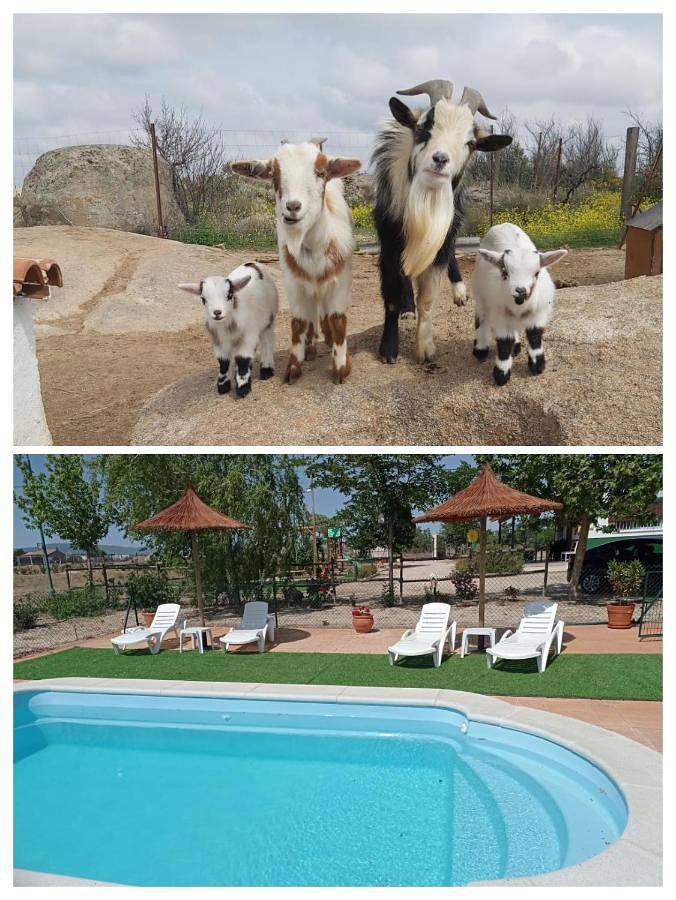 Casa de vacaciones para 5 personas, con Terraza además de Jardín y Piscina en Sonseca