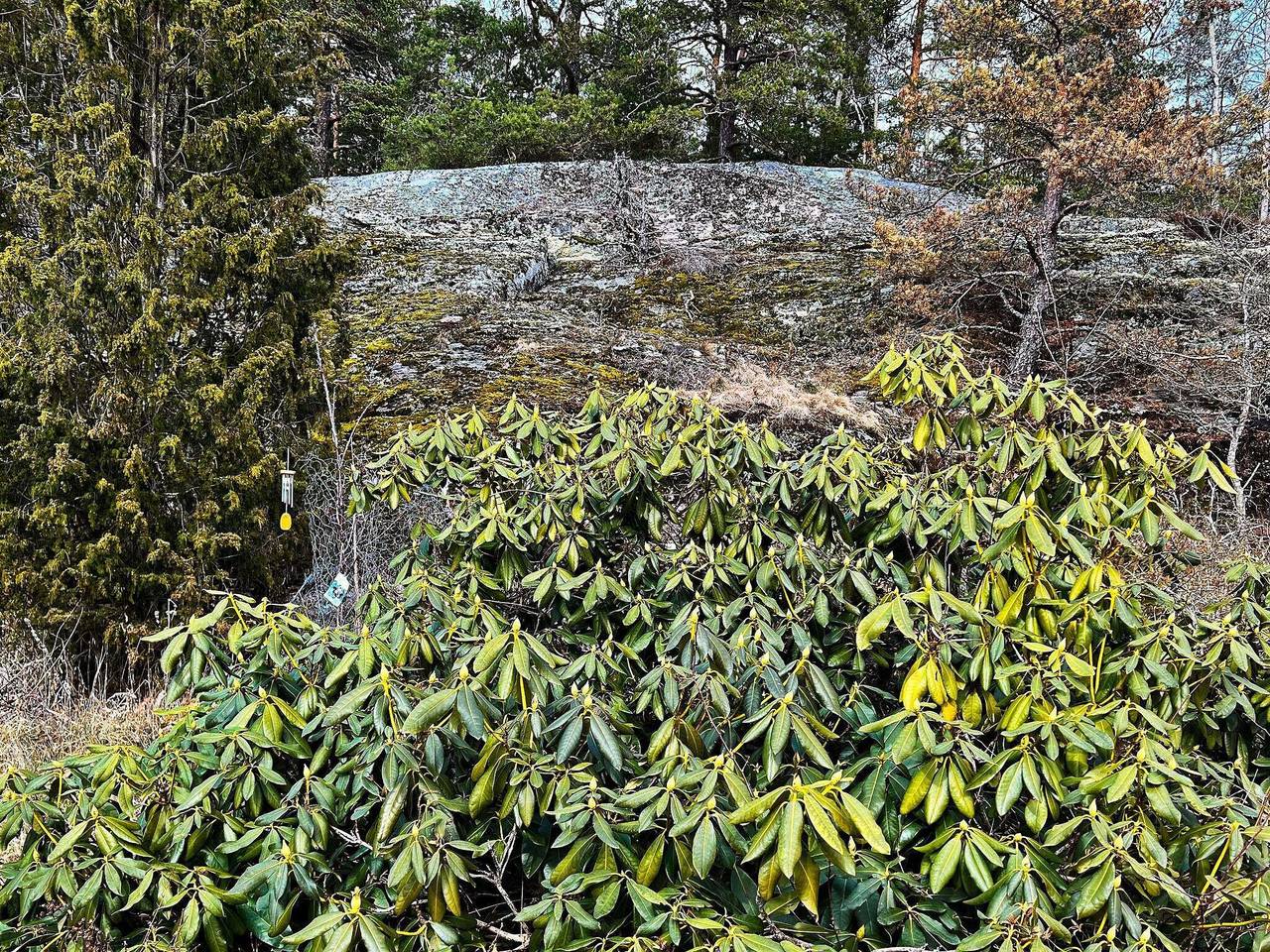 6 personer fritidhus i Tyresö in Tyresö, Svenska Östersjön