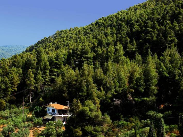 Ferienwohnung für 5 Personen, mit Terrasse und Garten in Chalkidiki