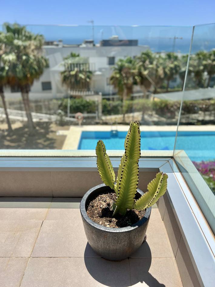 Ferienwohnung für 6 Personen, mit Ausblick und Pool sowie Terrasse in Marbella - 4