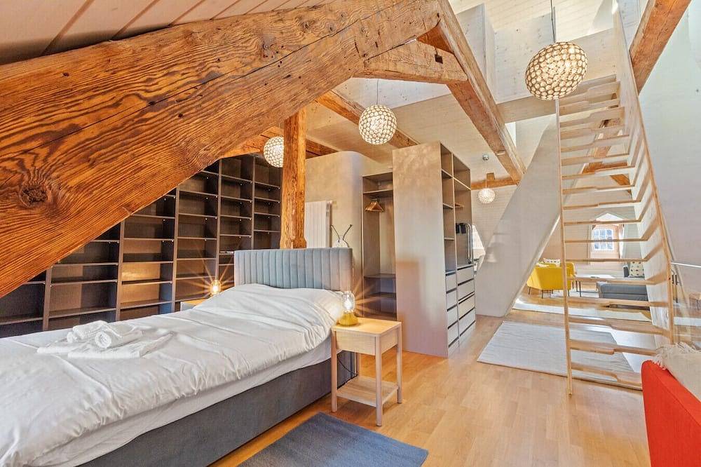 Entire apartment, Loft with view of Fribourg Cathedral in Fribourg, Canton of Fribourg