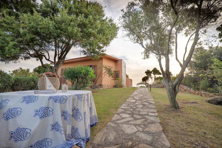 Ferienhaus für 6 Personen, mit Terrasse und Garten sowie Ausblick in Palau (Sardinien) - 3