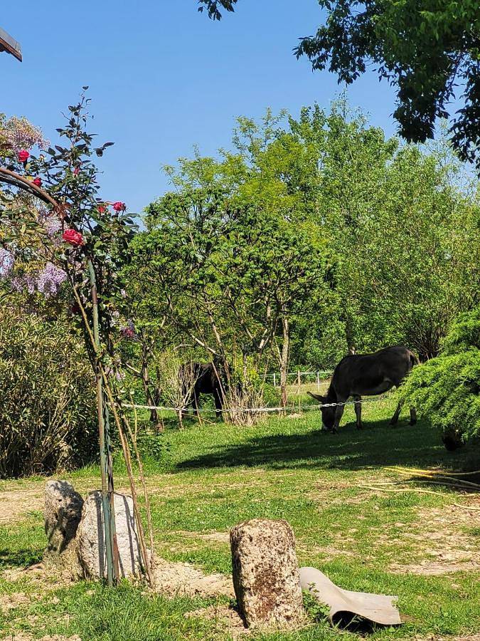 Location de vacances pour 4 personnes, avec vue et jardin, animaux acceptés dans Sistels - 3