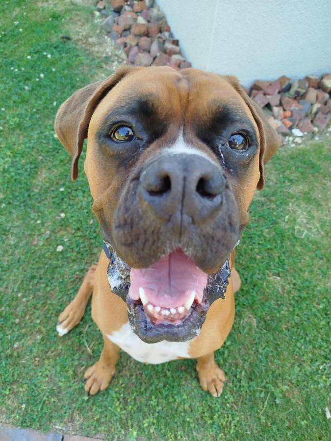 Gîte pour 2 personnes, avec piscine et jacuzzi dans Saint-Mards-en-Othe - 2