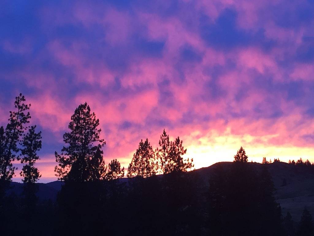 A peaceful one-bedroom house next to the Bitterroot Mountains in Ravalli County