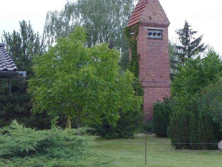 Ferienhaus für 4 Personen, mit Garten in Neuruppin - 2