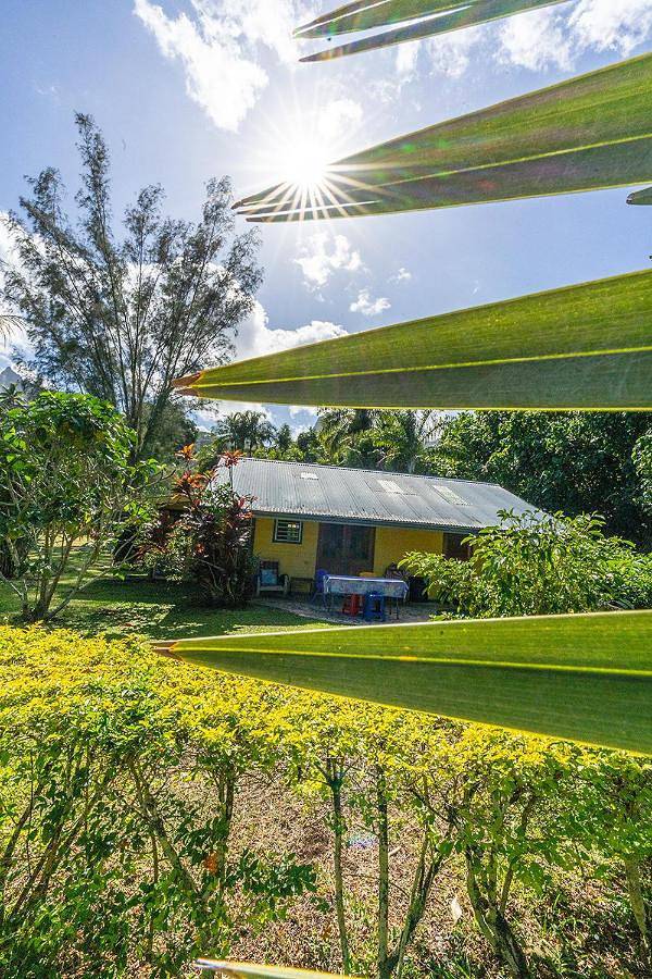 Maison d’hôte pour 4 personnes, avec jardin dans Ha'apiti - 3