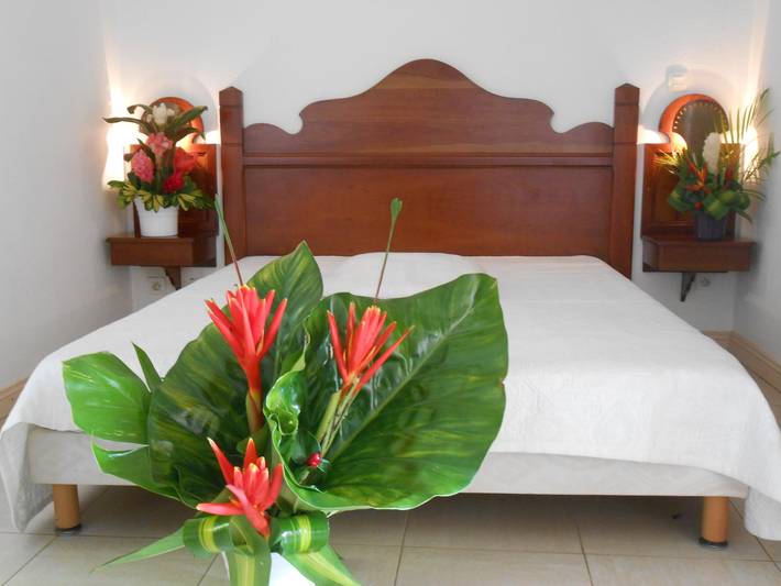 Studio pour 3 personnes, avec terrasse et jardin en Martinique - 2