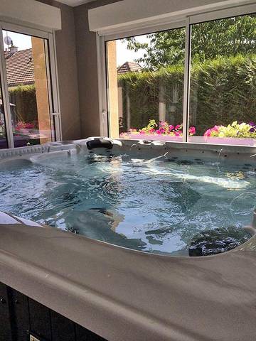 Gîte pour 12 personnes, avec jardin et terrasse ainsi que jacuzzi et sauna à Rochecorbon