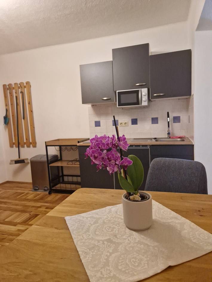 Appartement Dolomitenblick in Schobergruppe, Winklern