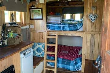 Glamping for 4 People in Sway, New Forest National Park, Photo 3