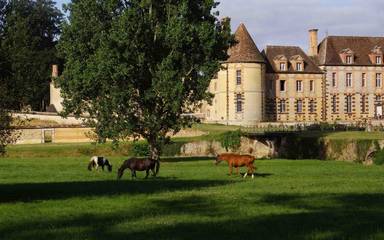 Chambre d’hôte pour 2 personnes, avec sauna et jardin dans Eure-et-Loir