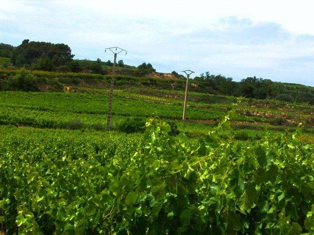 Gîte Provence, calme, proche de Vaison-la-Romaine in Puyméras, Parc naturel régional du Mont-Ventoux