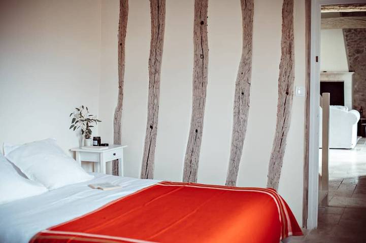 Location de vacances pour 14 personnes, avec jardin ainsi que terrasse et piscine à Ambillou - 3