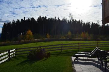 Chalet für 6 Personen in Lechbruck am See, Romantische Straße, Bild 2