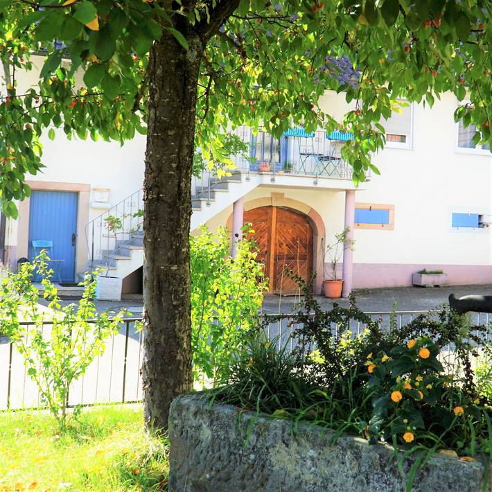 Ferienwohnung für 3 Personen, mit Balkon und Garten in Lahr - 4