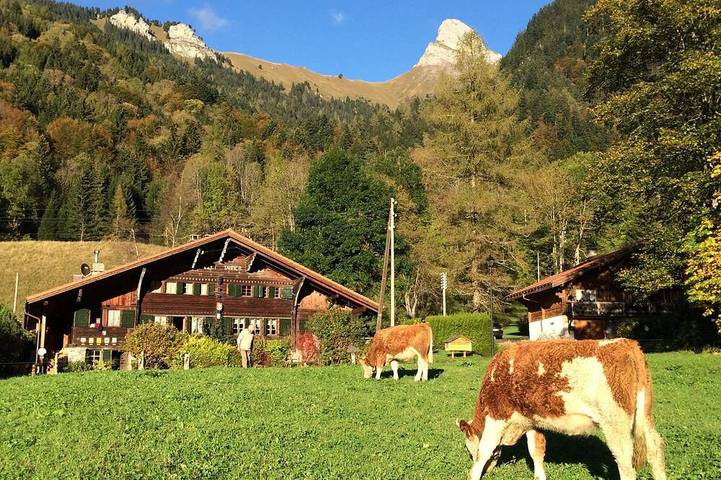 Chalet for 7 people, with garden and terrace as well as hot tub - 1