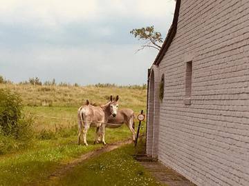 Location de vacances pour 5 personnes, avec jardin et vue à Malines