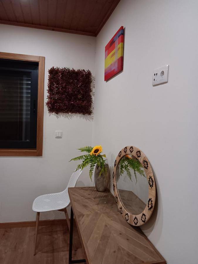 Double Room in Cinfães, Distrito de Viseu