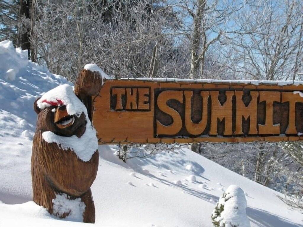 Ganze Wohnung, Eigentumswohnung mit an der Spitze der Schneeschuh - West Virginia - 8 Personen in Snowshoe, Greenbrier River