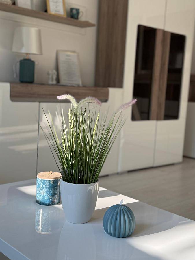 Cały apartament, Belvárosi Luxus Apartman in Baja, Komitat Bács-Kiskun