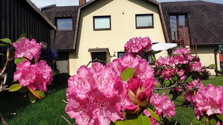 Location de vacances pour 8 personnes, avec piscine et sauna ainsi que terrasse et jardin à Pärnu - 2
