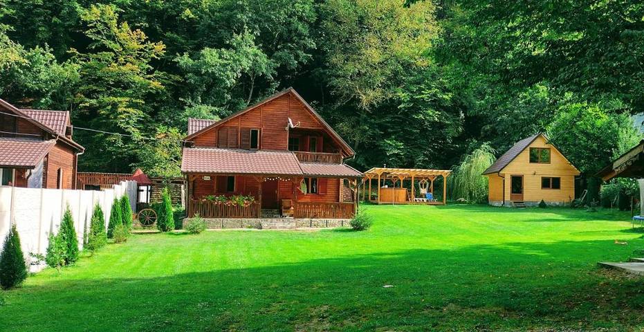 Location de vacances pour 4 personnes, avec jardin, animaux acceptés à Alba (Romania)