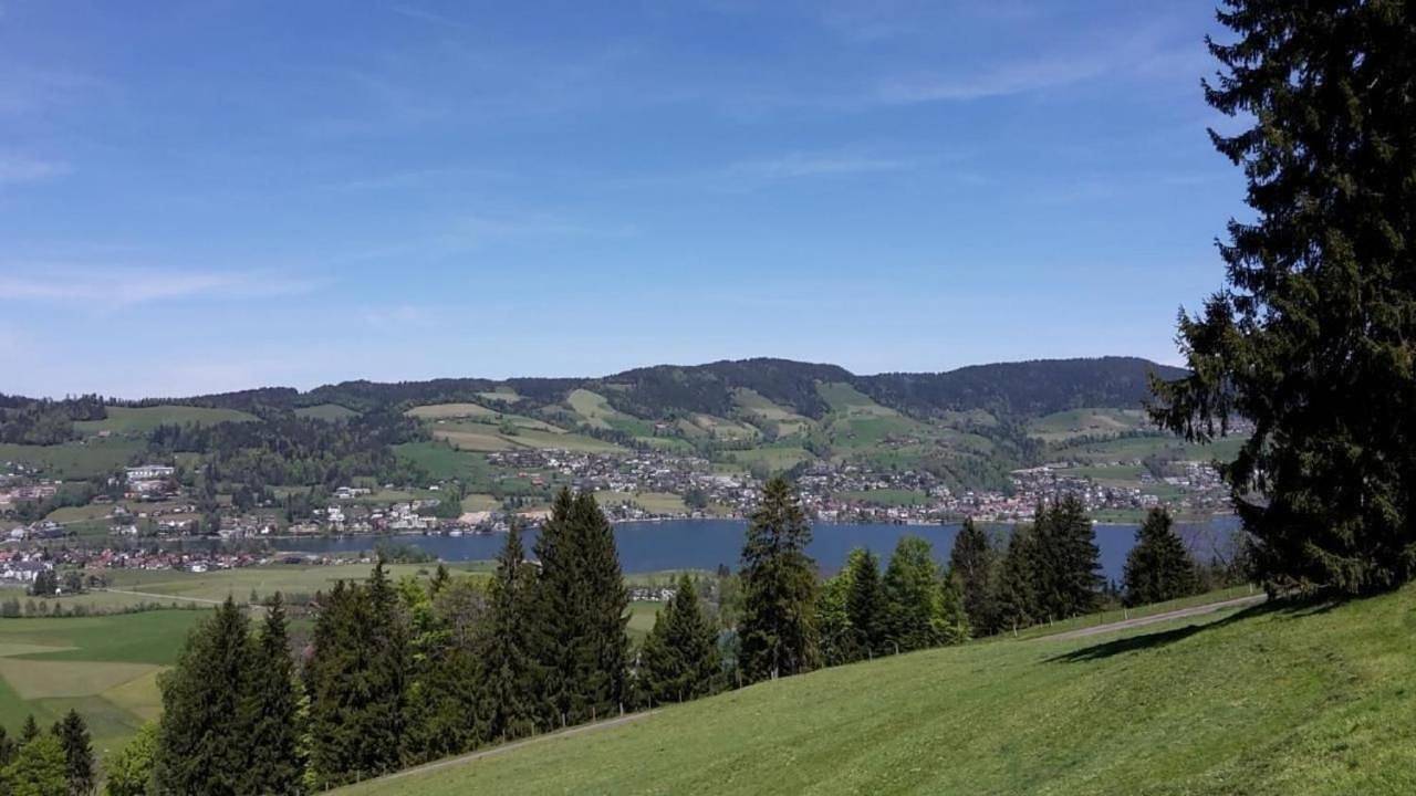 Ganze Wohnung, Fruehalp in Unterägeri, Kanton Zug